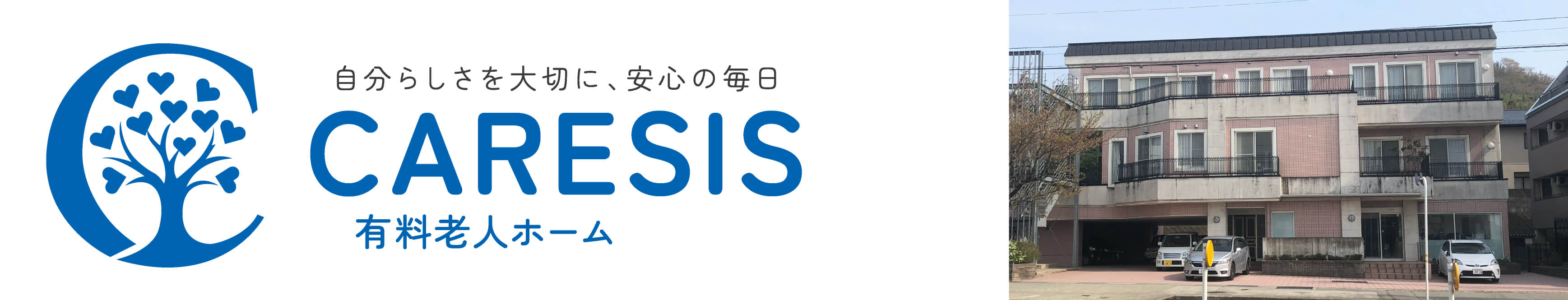 ケアシス